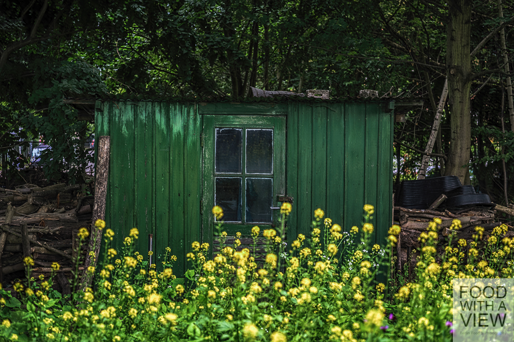 shed 02.07.2014-1