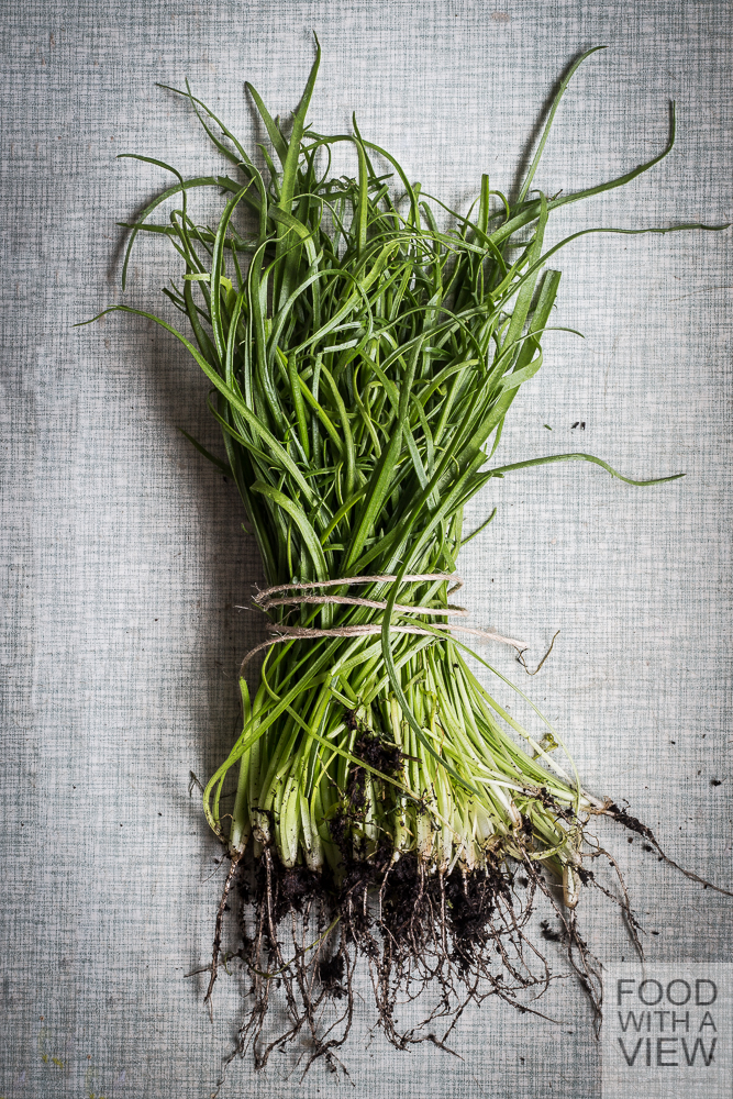 Food with a View for StockFood