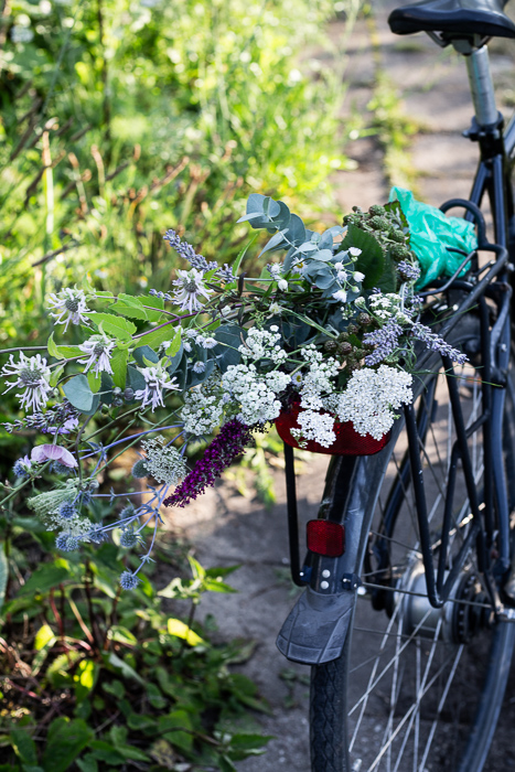 garden, flowers, bicycle