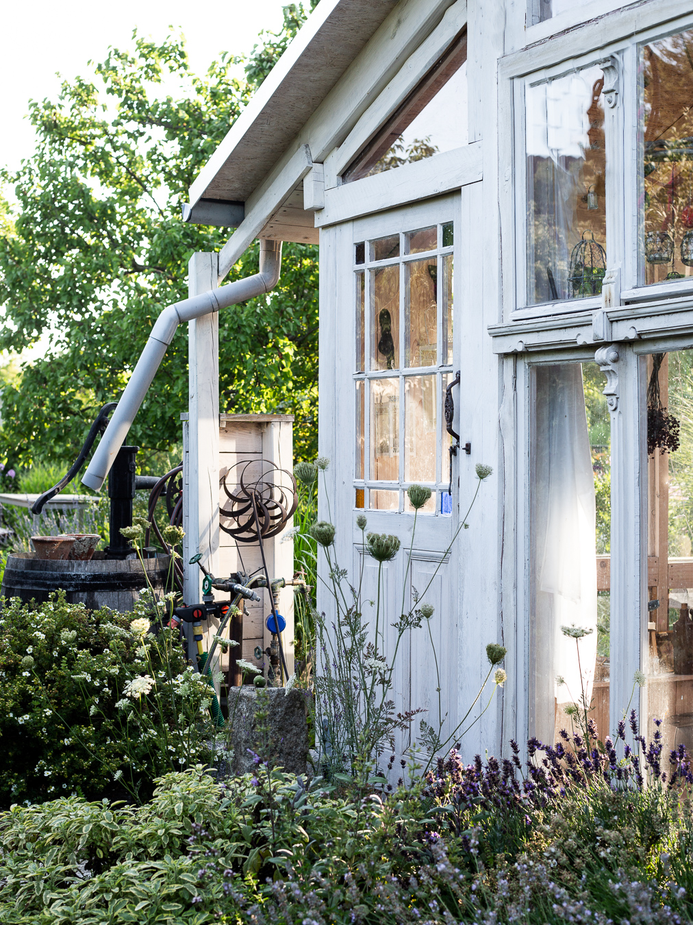 summer, garden, hut, flowers