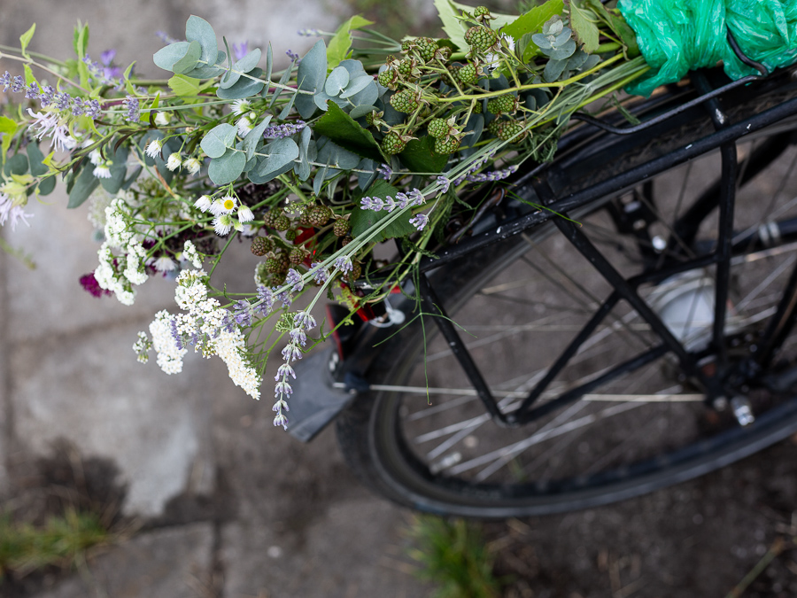 summer, garden, bicycle, flowers