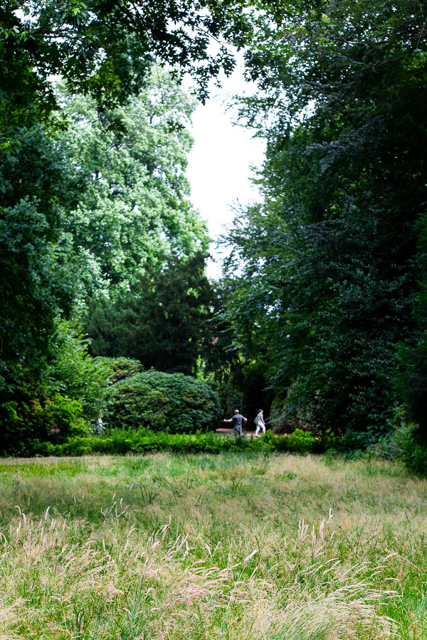 Schlossgarten, Oldenburg, park, landscape, garden