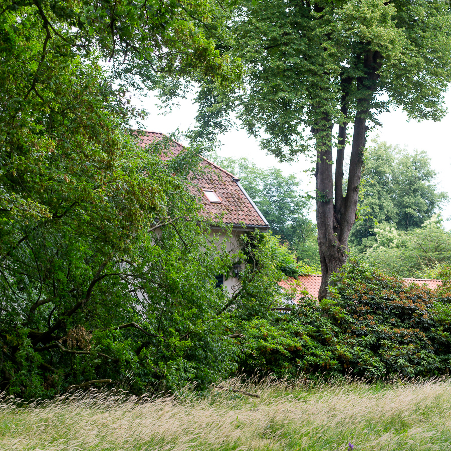 Schlossgarten, Oldenburg, park, landscape, garden