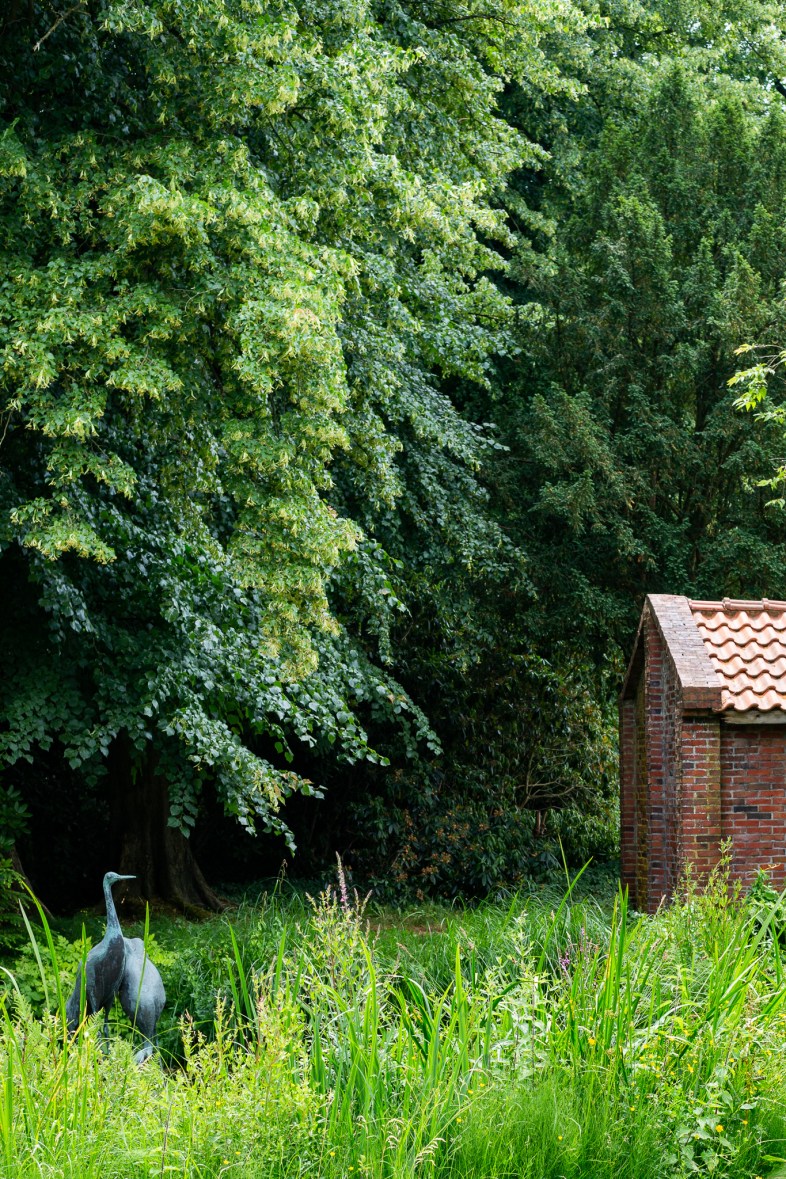 Schlossgarten, Oldenburg, park, landscape, garden