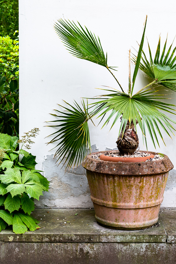 Schlossgarten, Oldenburg, park, landscape, garden