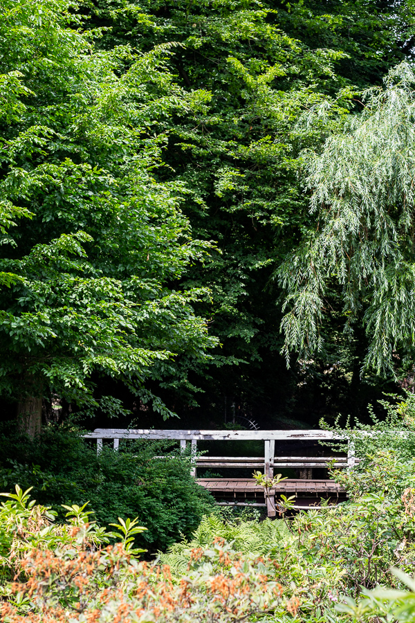 Schlossgarten, Oldenburg, park, landscape, garden