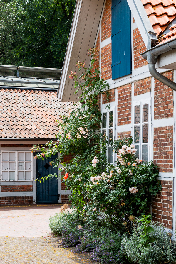 Schlossgarten, Oldenburg, park, landscape, garden