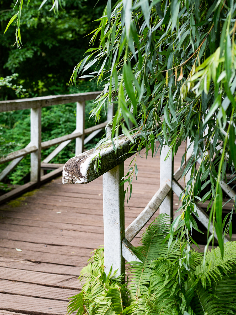 Schlossgarten, Oldenburg, park, landscape, garden