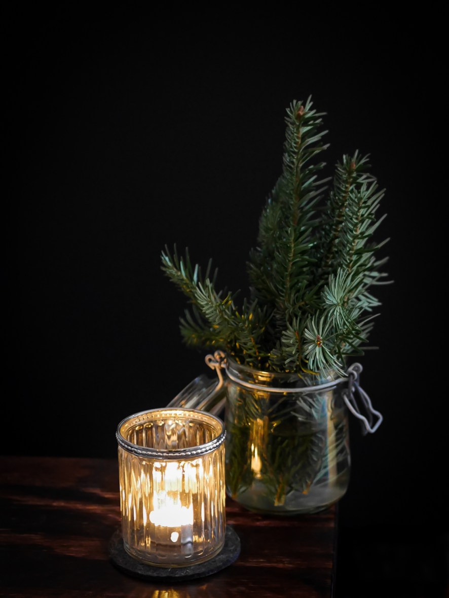 Vegan Gingerbread Christmas